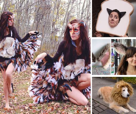 DIY Animal Costumes