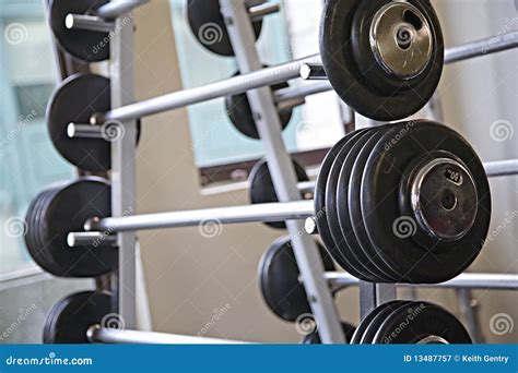 Gym Equipment: Free Gym Equipment