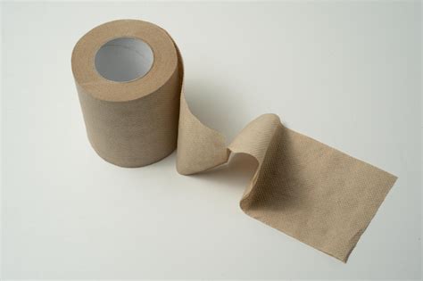 Recycled Toilet Paper Roll (Pack of 10) - Saahas Zero Waste