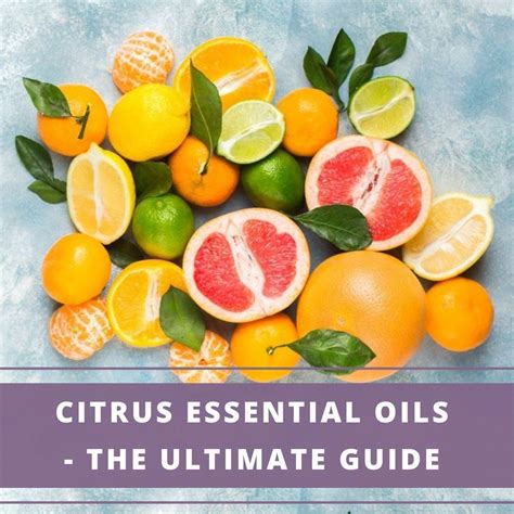 Citrus Essential Oils - The Ultimate Guide - Aromatherapy Anywhere