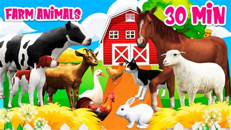 Farm Animals Pictures For Preschool