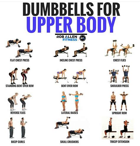 23+ Bodybuilding.com Full Body Dumbbell Workout PNG - what exercise is ...