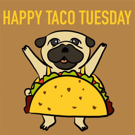 Happy-taco-tuesday GIFs - Get the best GIF on GIPHY