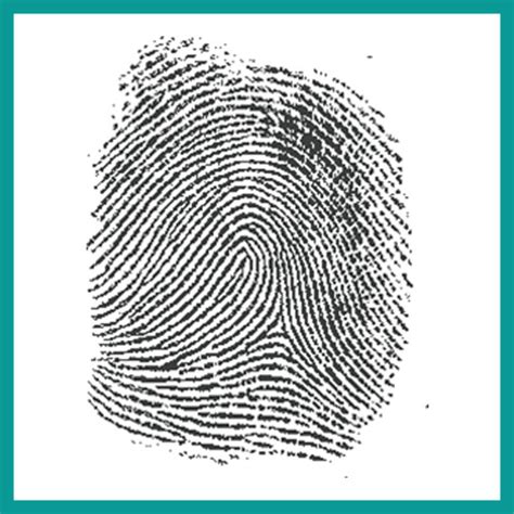 What Is a Fingerprint? Let’s Get to the Bottom of It