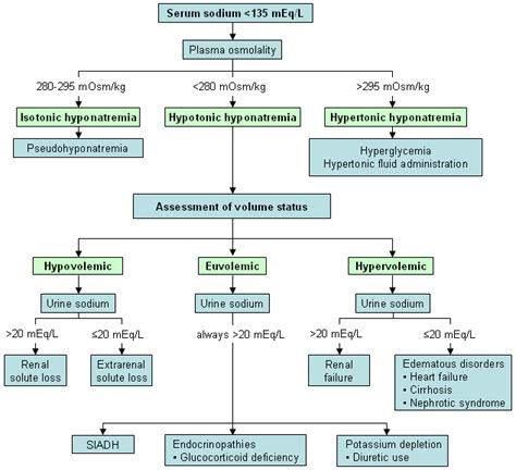 Hyponatremia Workup Flow Chart | Images and Photos finder