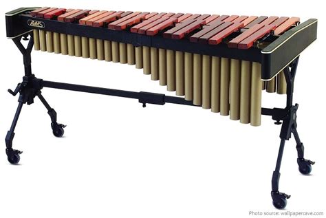 Interesting facts about the xylophone | Just Fun Facts