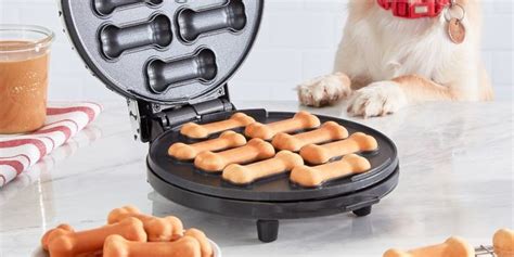 Where to Buy Dash Dog Treat Maker - Homemade Dog Treat Ideas