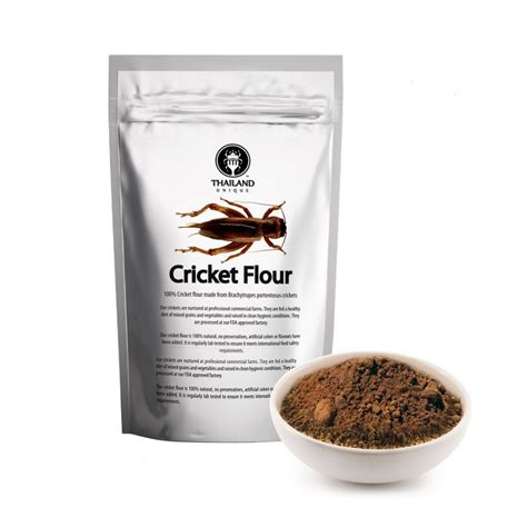 Cricket Powder 100g Brachytrupes portentosus