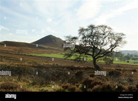 The Yorkshire Moors Stock Photo - Alamy