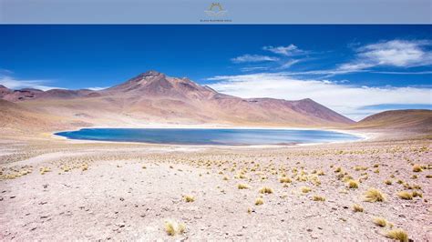 Desert Dreams Unveiled: Chile's Atacama Oasis