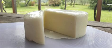 Bel Paese | Local Cheese From Lombardy, Italy