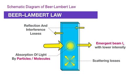 State and explain Beer Lambert Law.