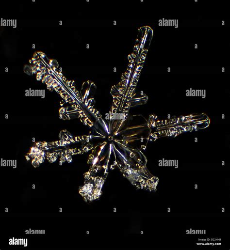 Snowflake microscope hi-res stock photography and images - Alamy