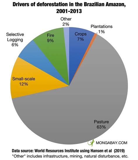 Amazon Rainforest Deforestation Graph