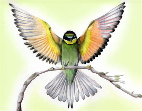 Bird Drawing Flying at GetDrawings | Free download