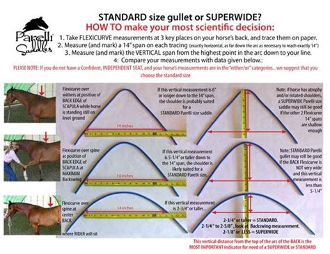 Measure saddle gullet - tree | Horse care, Horse saddles, Horse health