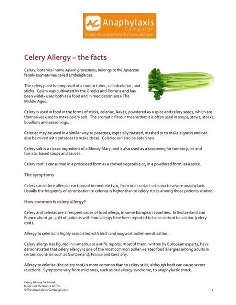 Celery Allergy – the facts - Anaphylaxis Campaign