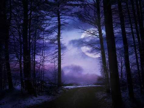 Moonlight Forest Wallpapers - Top Free Moonlight Forest Backgrounds - WallpaperAccess