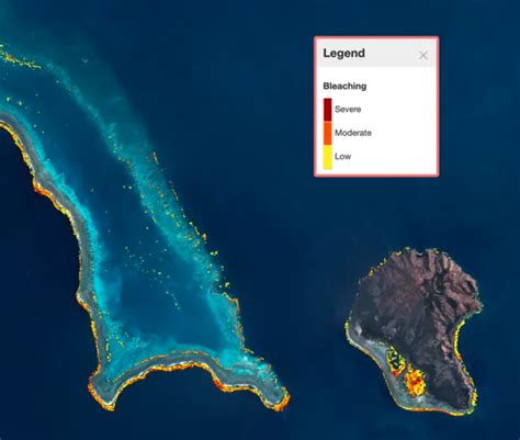 First-ever coral reef world map in high-resolution is ready | World ...