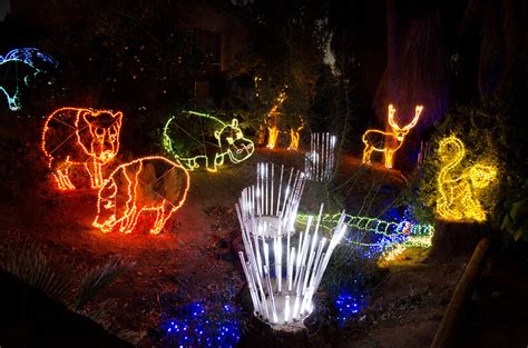 ZooLights! It's Amazing Christmas Lights at the Phoenix Zoo! - Phoenix With Kids