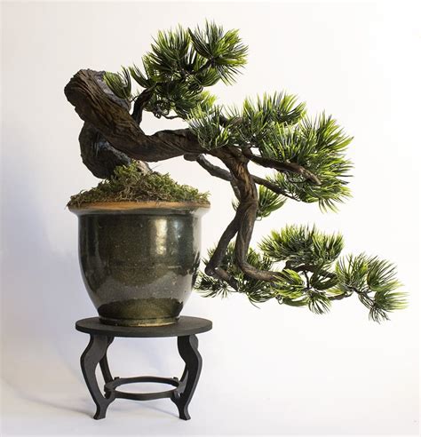 Bonsai Styles | Bonsai Tree Gardener