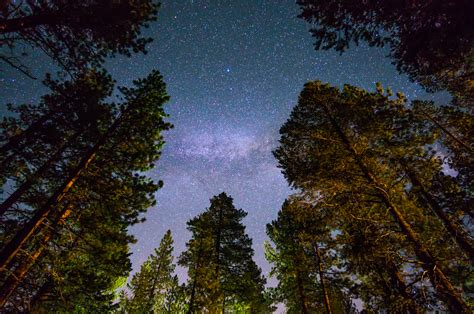 Stargazing at Dalby Forest | Forestry England