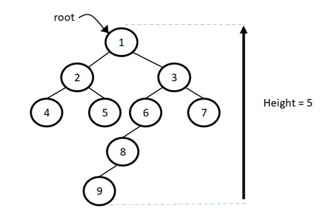 Height of a binary tree | ProCoding