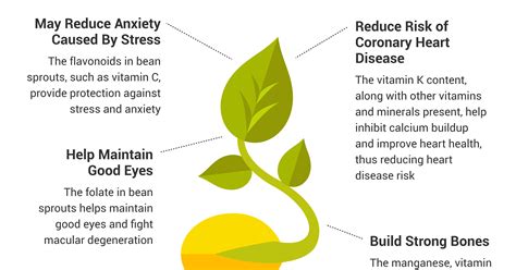 How to Make Bean Sprouts, Plus Benefits, Nutrition, Recipes - Dr. Axe