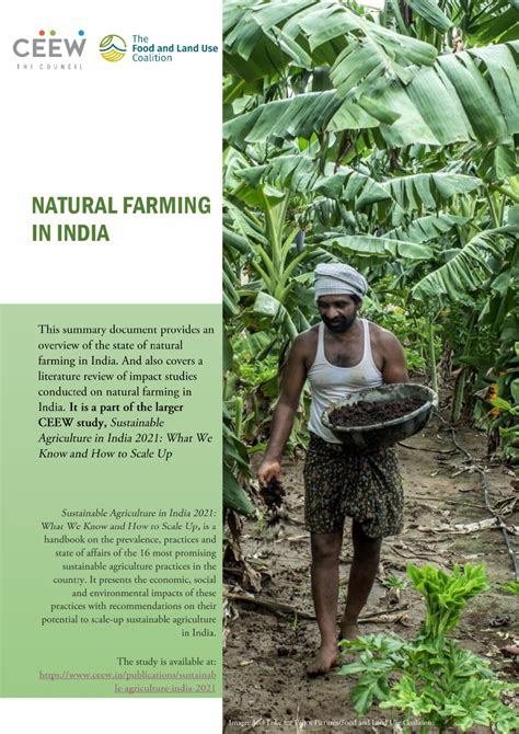 What is Natural Farming Cultivation in India? CEEW Research