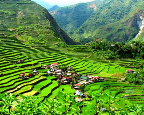 Banaue Rice Terraces - Ideas To Chill