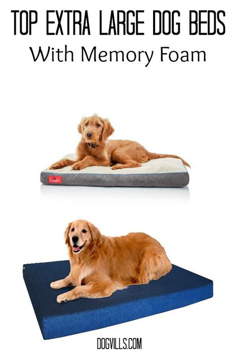 Top 10 Extra Large Dog Beds With Memory Foam