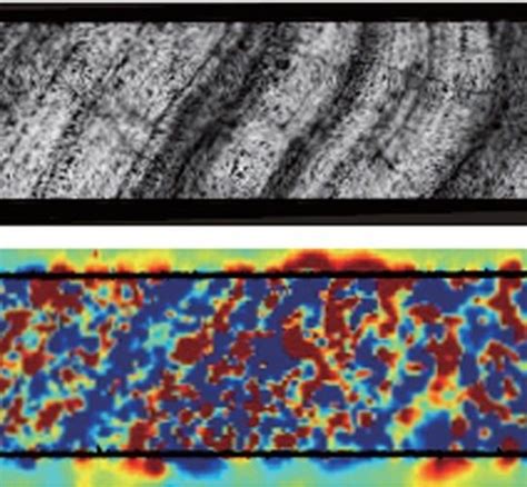 Paleomagnetism: the study of the record of the Earth's magnetic field ...