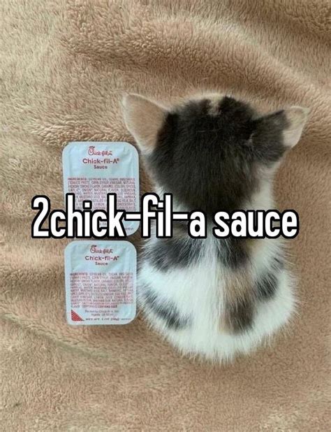 2 chick-fil-a sauces meme | Chick-fil-a Sauce Cat | Know Your Meme