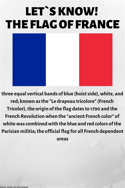 THE FLAG OF FRANCE | France flag, Flags of the world, Flag