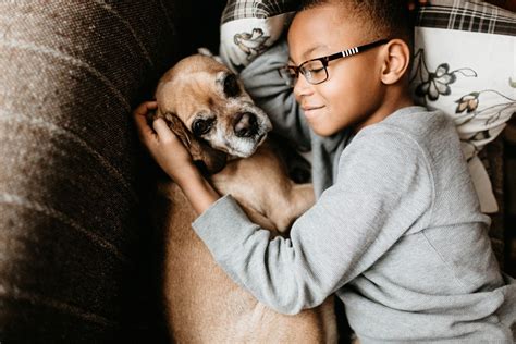 The 9 best pets for kids — and how to choose the perfect one - Care.com Resources