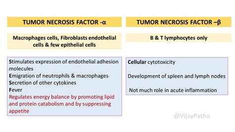 Chemical Mediators of Inflammation: CYTOKINES : Interleukins & Chemokines - Pathology Made Simple