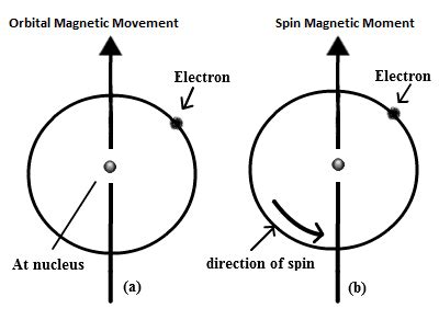 Spin Magnetic Moment: Does an Electron Really Spin?