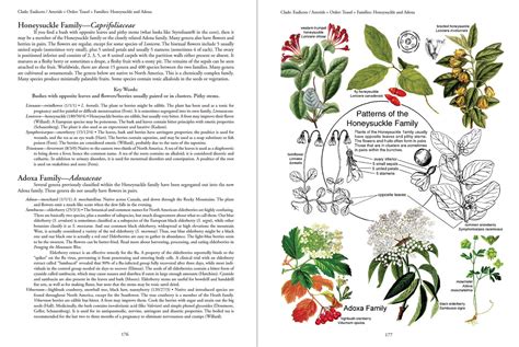 Botany in a Day (APG): The Patterns Method of Plant Identification ...