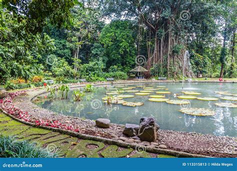 Botanical Gardens Bogor, West Java, Indonesia Stock Image - Image of capital, house: 113315813