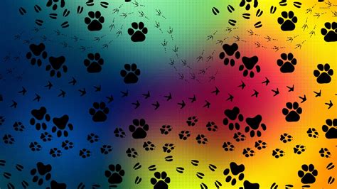 🔥 [40+] Dog Paws Wallpapers | WallpaperSafari