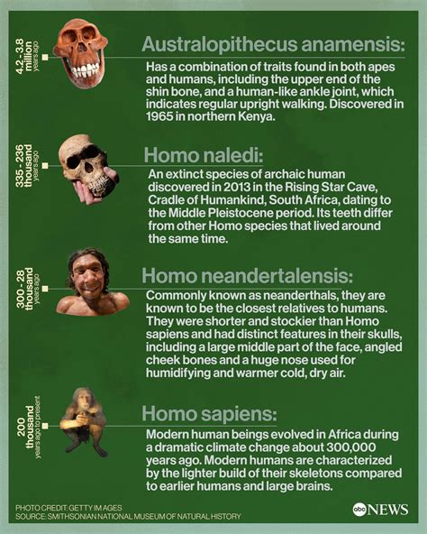 Early Homo Sapiens