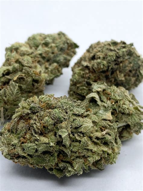 Sour Diesel | Onestopbudshop