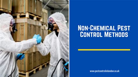 Non-Chemical Pest Control Methods | Pest Exterminators