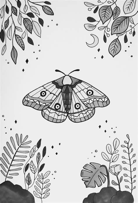 Moth illustration on Behance