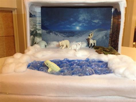 Red Fox Shoebox Diorama #Shoebox #Diorama #school | Diorama kids ...