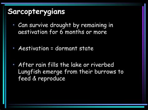 Osteichthyes The Bony Fish. - ppt download