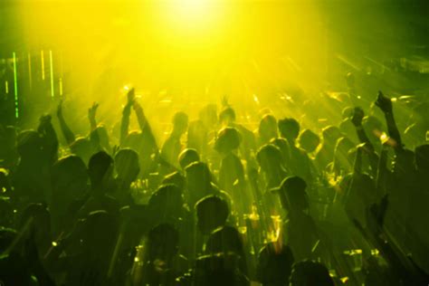 A guide to the best of nightlife in India, India - Times of India Travel