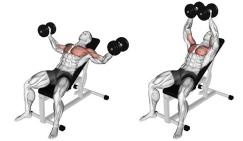 The Incline Dumbbell Fly 101 | How to Exercise Your Upper Chest!