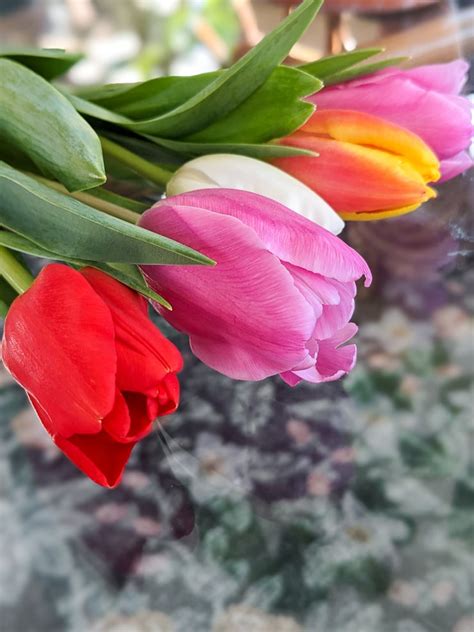 Care-for-Tulips-1 - By Brittany Goldwyn | Live Creatively