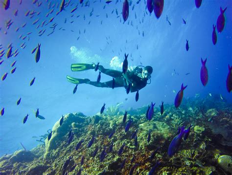 Scuba Diving Sites in the Dominican Republic | Passion Paradise